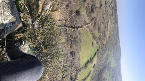 Notre Dame du Mont Carmel [26-03-2022](IMG_4597).jpg